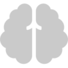 brain